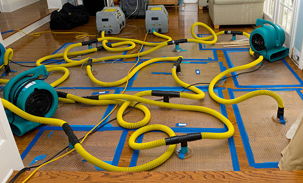 Professional Burst Pipe Water Damage technician working in Rensselaerville, NY